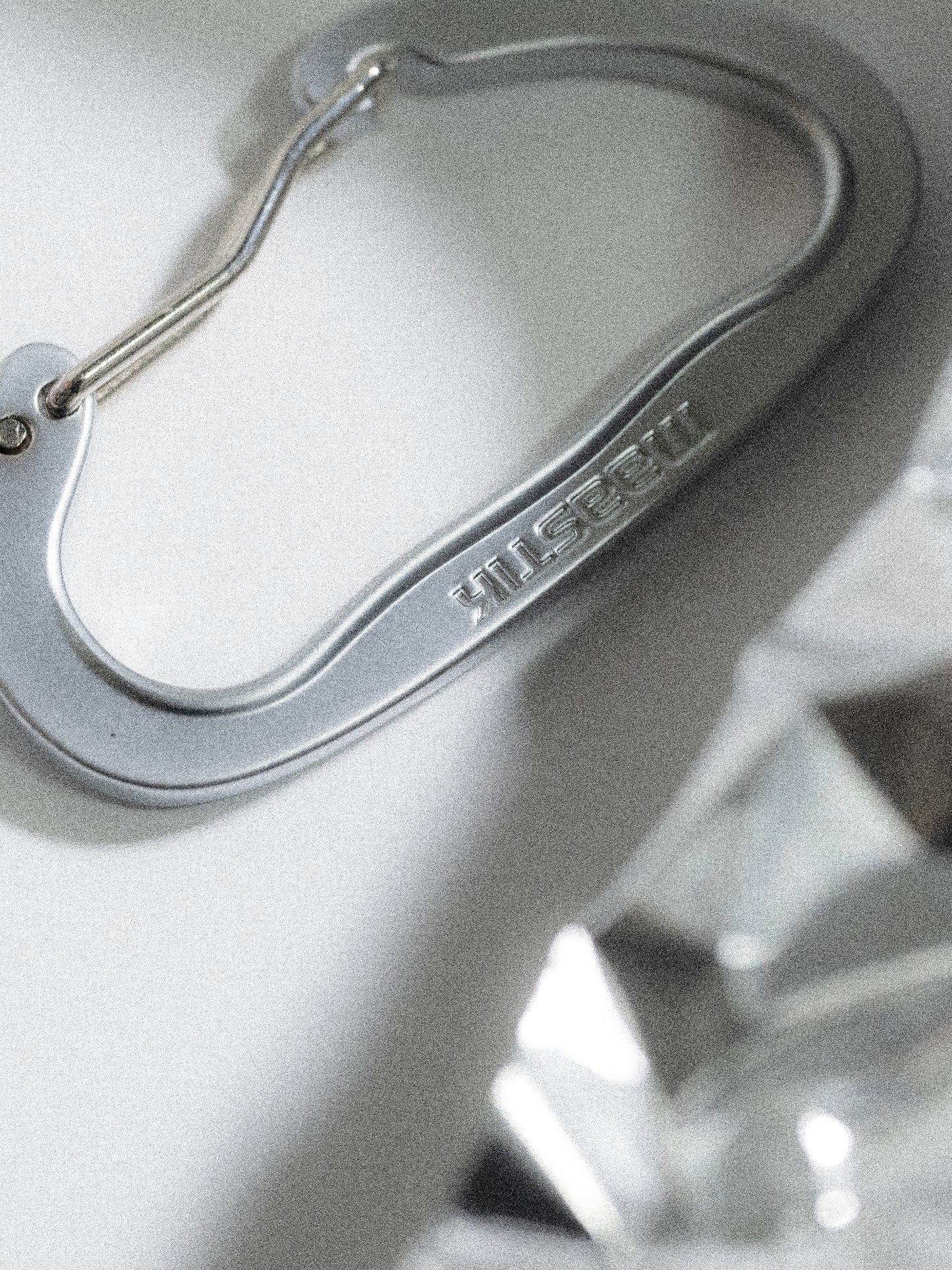 maastik / CARABINER R -SILVER