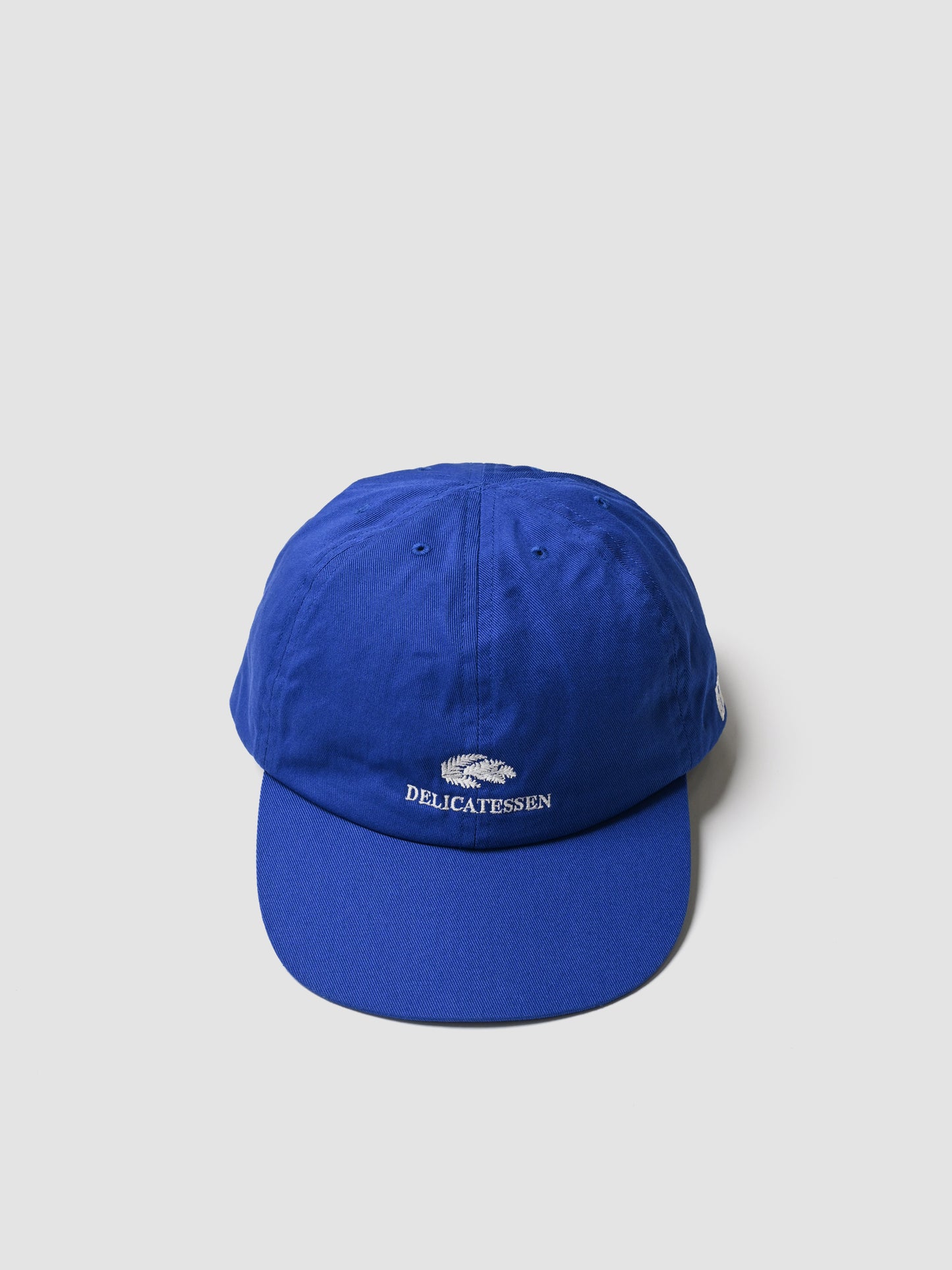 COMESANDGOES / DELICATESSEN CAP  -BLUE