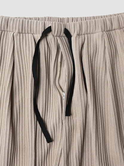 ANCELLM / WRINKLED STRIPE TUCK SHORT PANTS -GREIGE