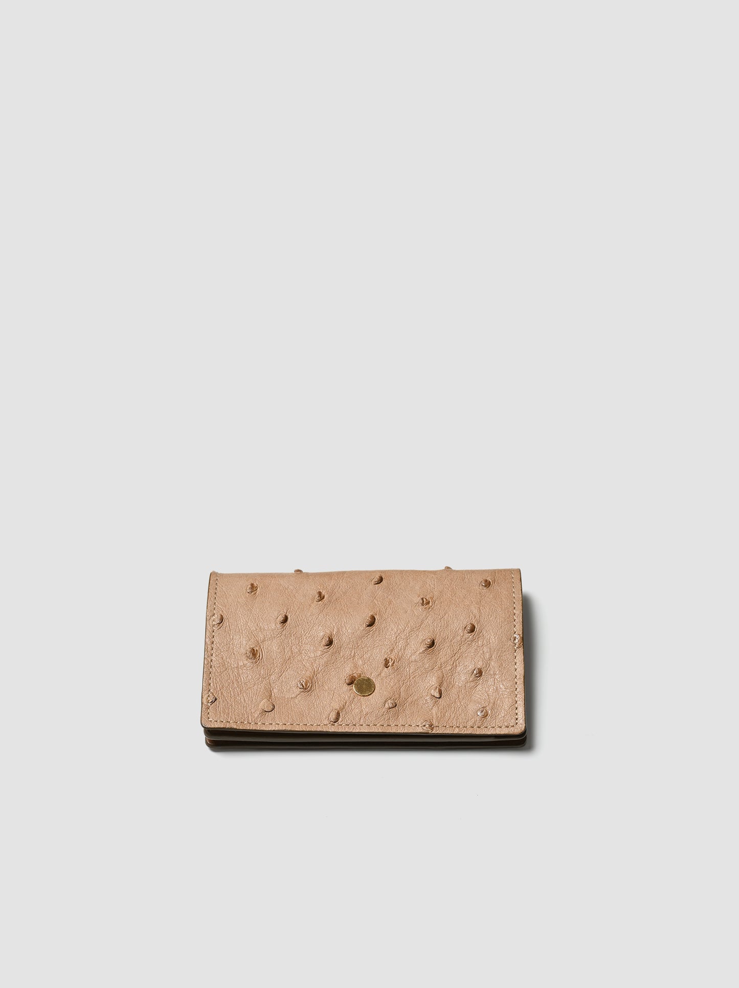 forme / <Card case> Ostrich -TAUPE