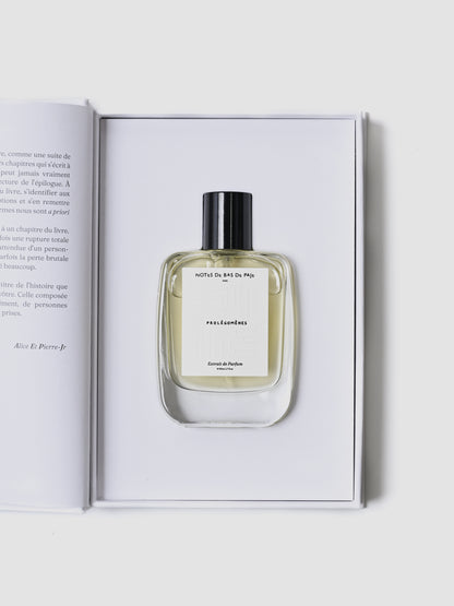 Notes de Bas de Paje / PROLÉGOMÈNES¹