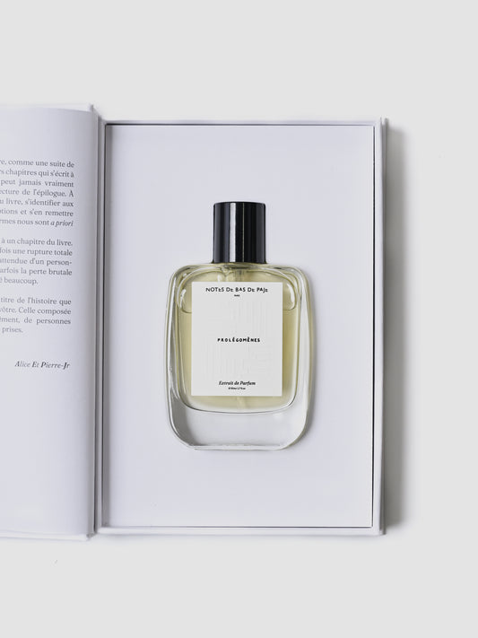 Notes de Bas de Paje / PROLÉGOMÈNES¹