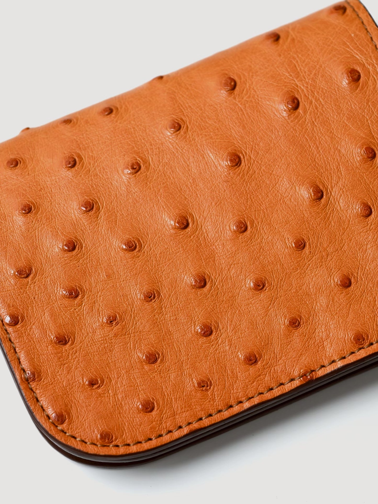 BISOWN / BOAT WALLET OSTRICH -CHESNUT